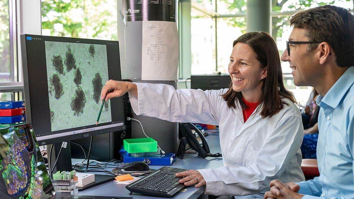 Raziskovalca pregledujeta biološke posnetke in razpravljata o laboratorijskih izsledkih.